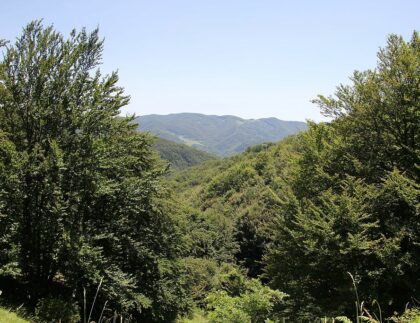 Parco Nazionale Casentino