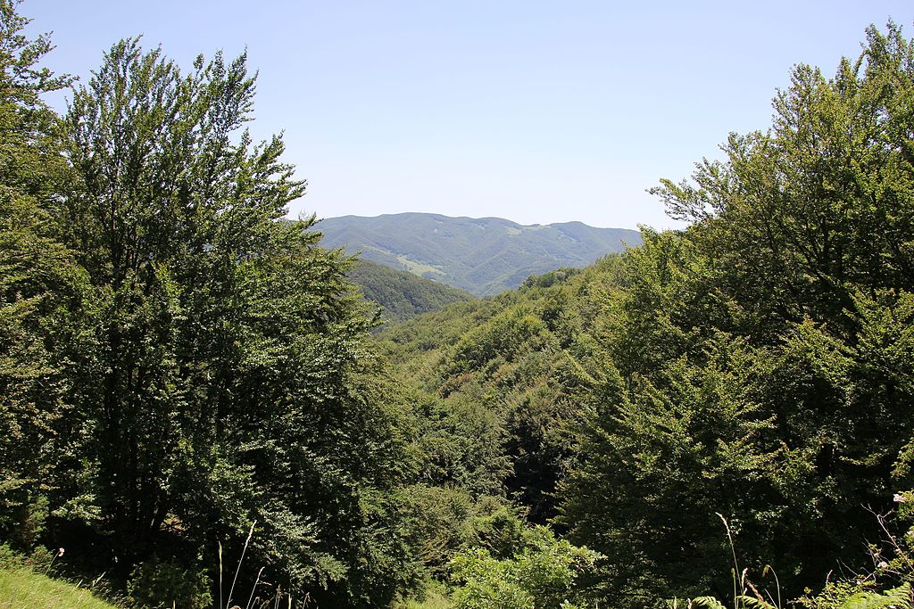 Parco Nazionale Casentino